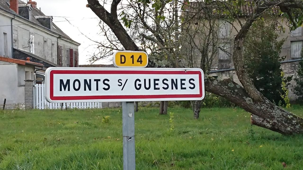 L'Olivier Villa Monts-sur-Guesnes Kültér fotó
