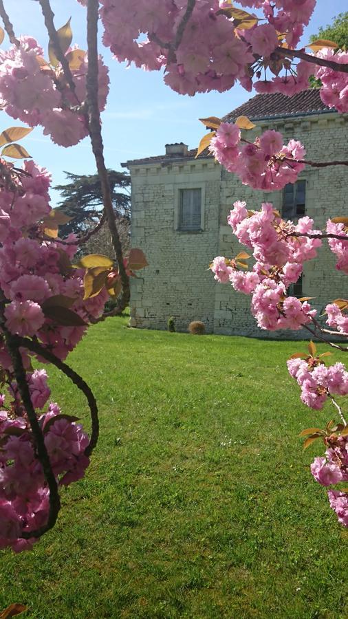 L'Olivier Villa Monts-sur-Guesnes Kültér fotó