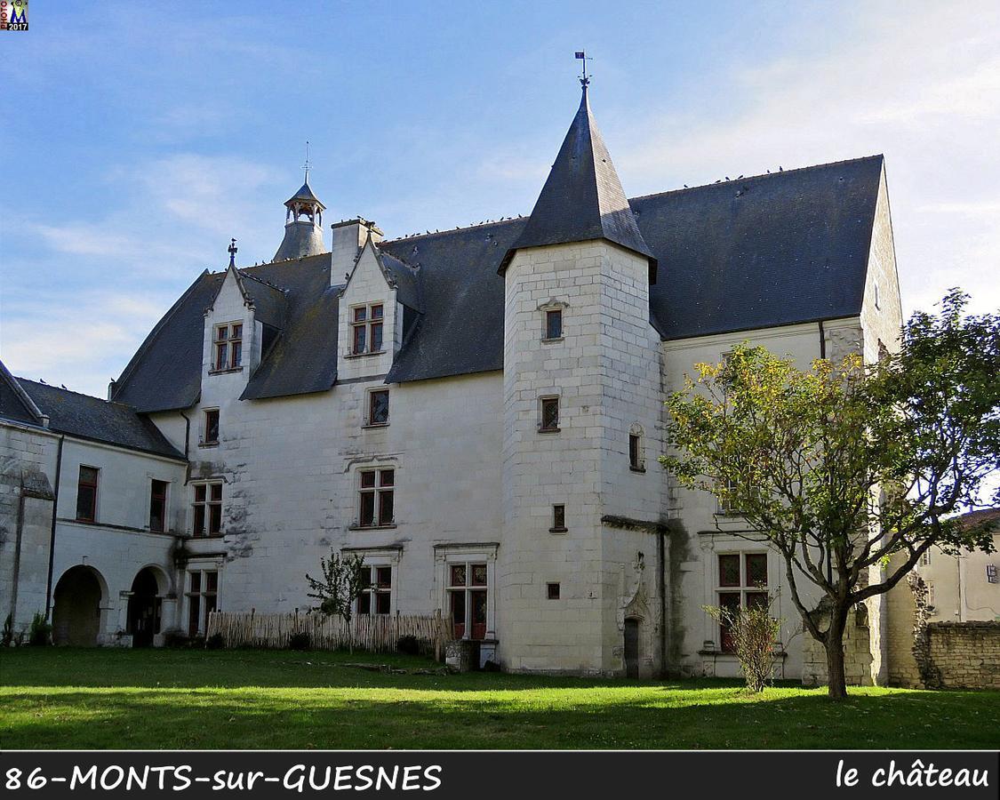 L'Olivier Villa Monts-sur-Guesnes Kültér fotó