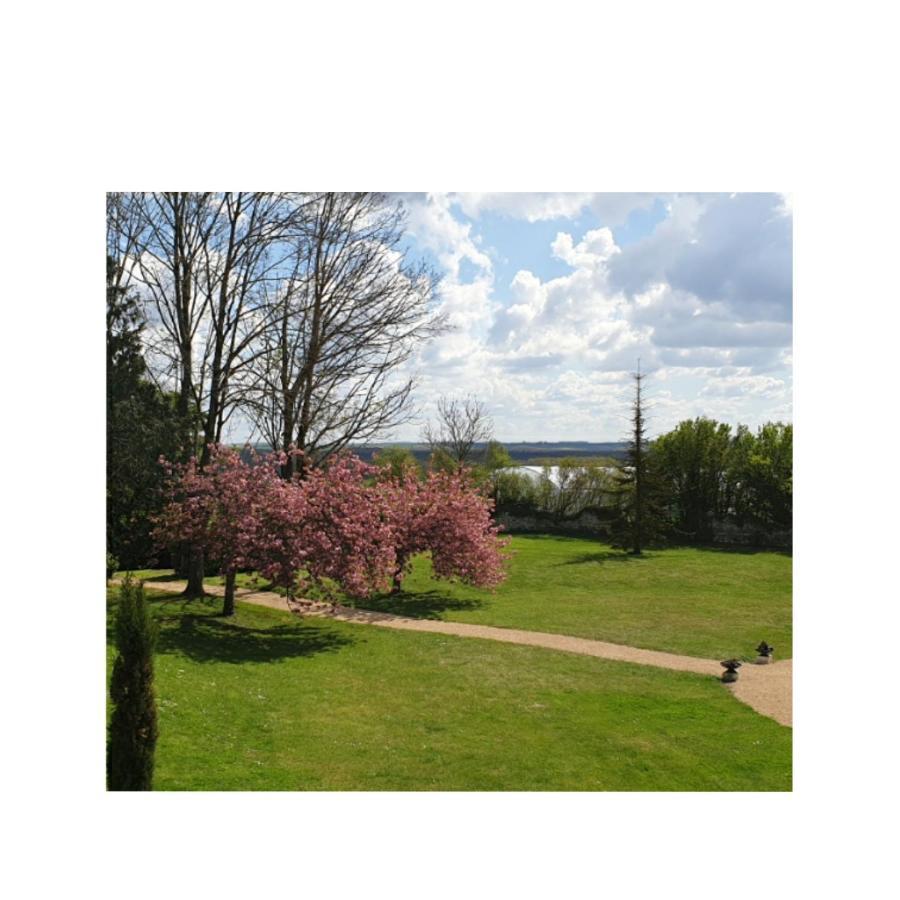 L'Olivier Villa Monts-sur-Guesnes Kültér fotó